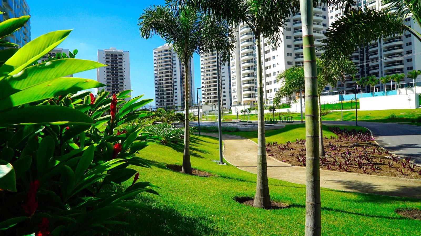 Parque-Ilha-Pura_baixa